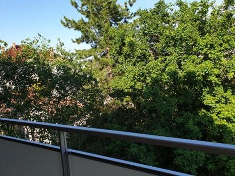 Appartement Foch A Colmar Zewnętrze zdjęcie